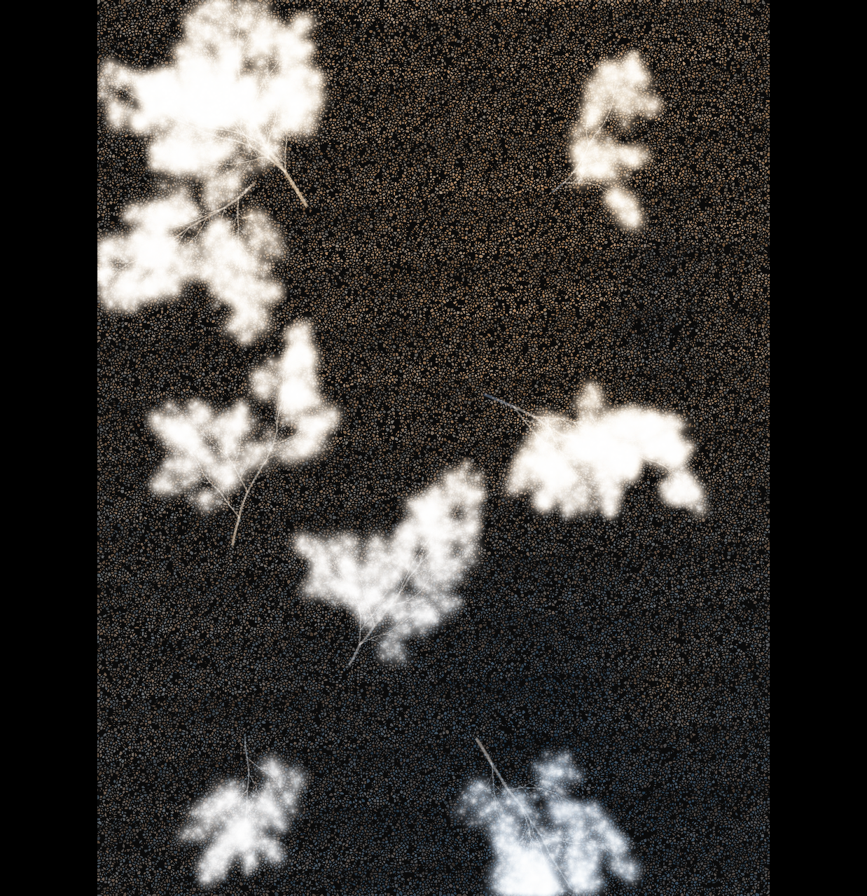 WAW output — seed 7777