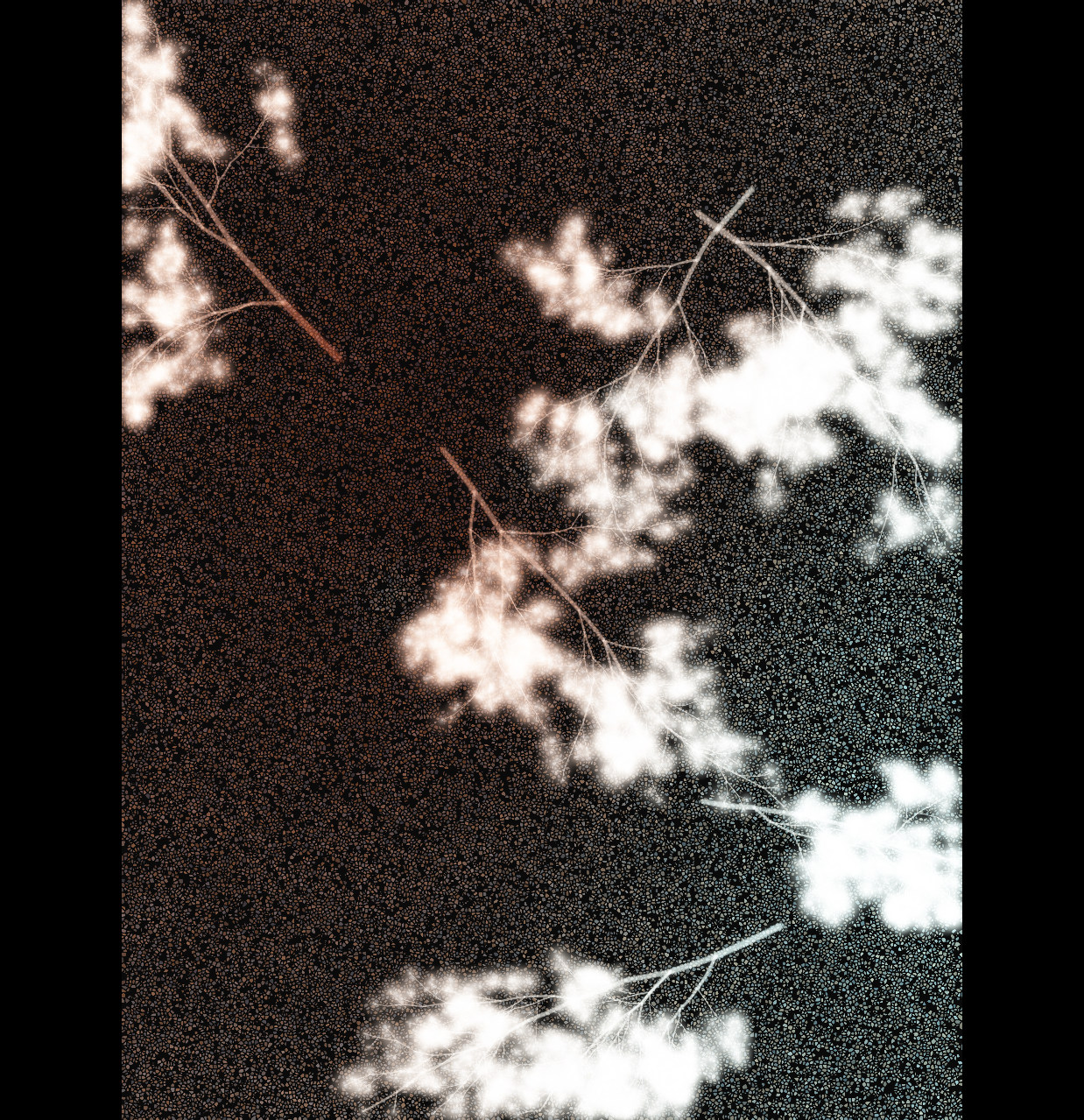 WAW output — seed 31415