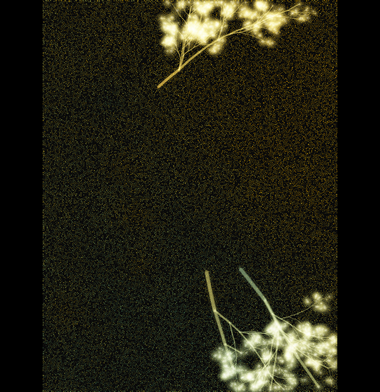 WAW output — seed 256000